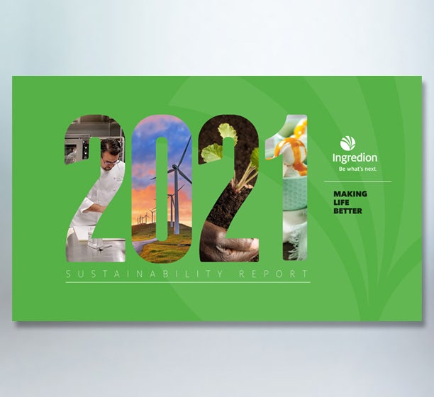 2021 年可持续发展最新动态
