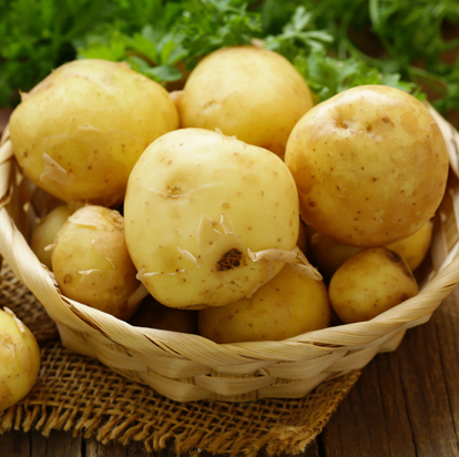 Pile of raw potatoes, representing potato starch ingredient solutions