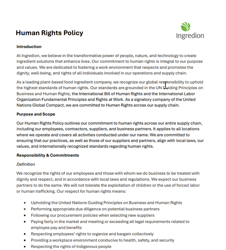 Human Rights Policy