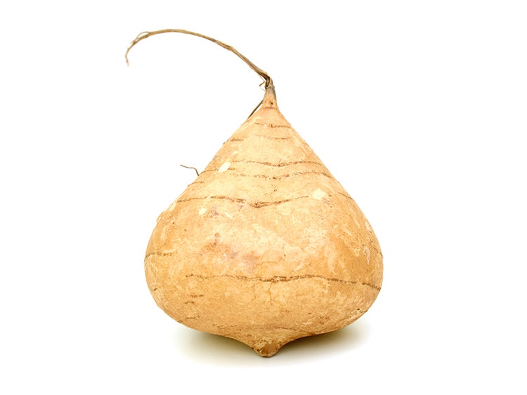 Jicama