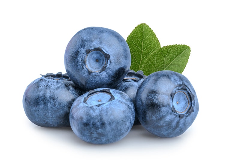 Blueberry