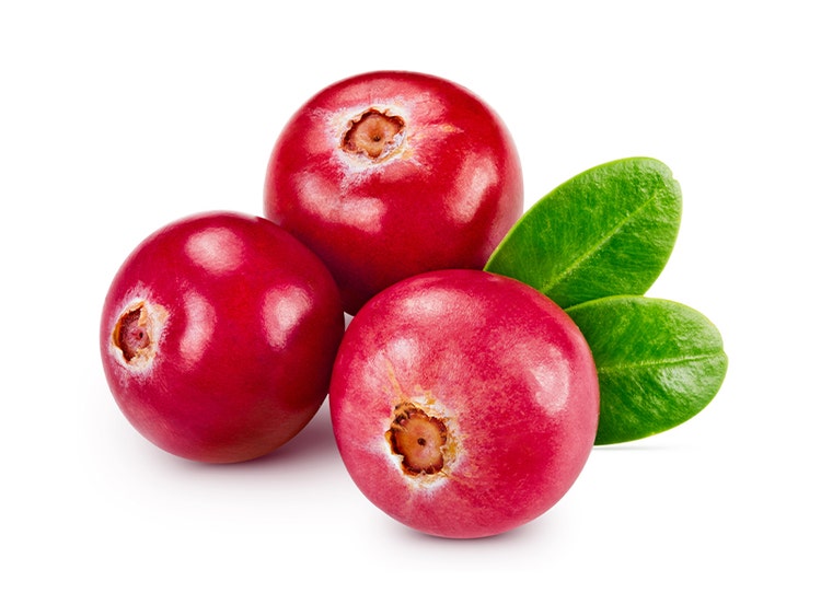 Cranberry