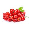 Red Currant