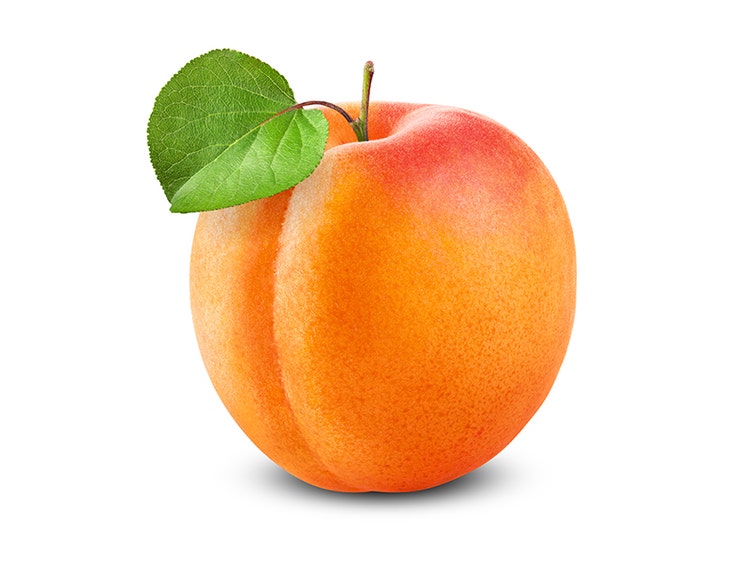 Apricot