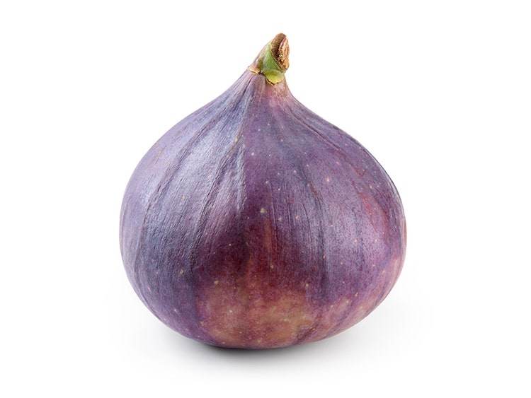 Fig