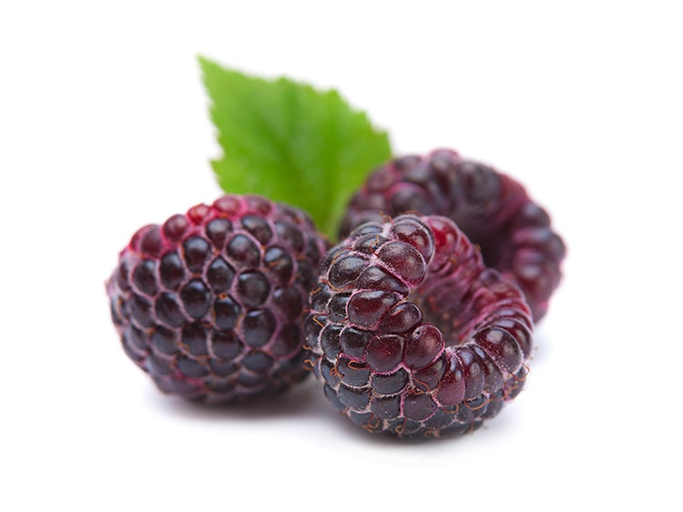 Black Raspberry