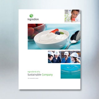 Atualização do relatório de sustentabilidade de 2012