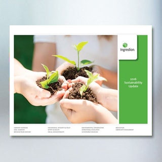 Atualização do relatório de sustentabilidade de 2016
