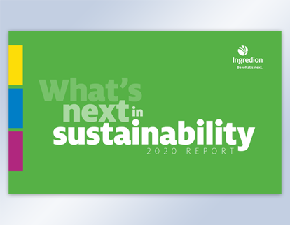 Atualização do relatório de sustentabilidade de 2020