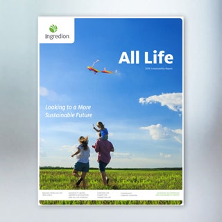 Atualização do relatório de sustentabilidade de 2019