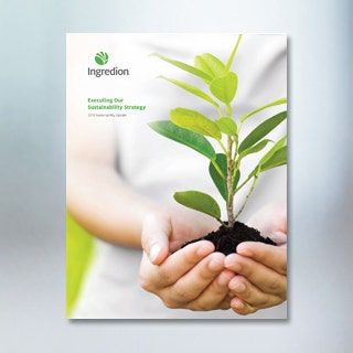 Atualização do relatório de sustentabilidade de 2018